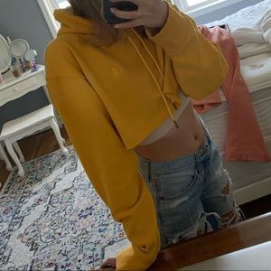 Cropped Champion Hoodie